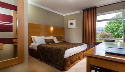 Classic Single Room