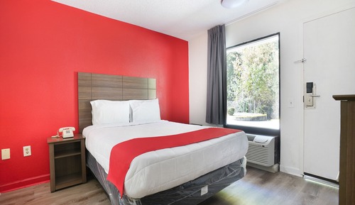 Room, 1 Queen Bed