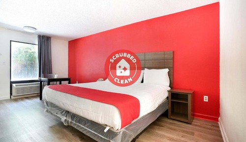 Room, 1 King Bed