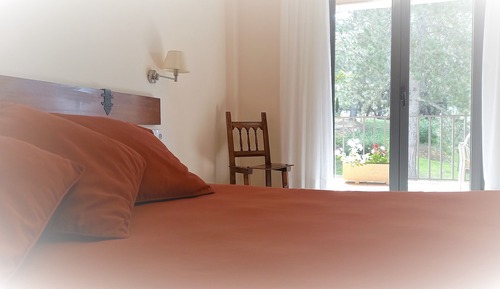 Junior Suite, Terrace