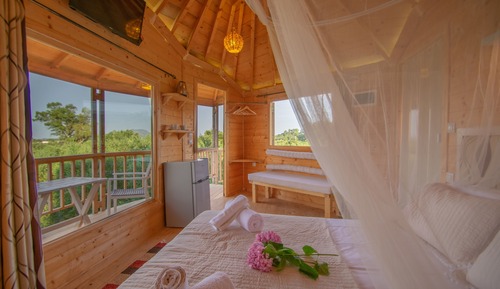 Tree House
