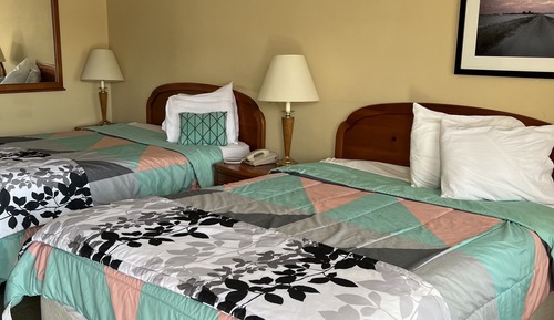 Economy Double Room