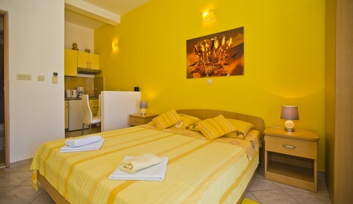 Gallery Studio Suite (The Flame of Yellow Roses)