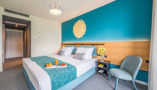 Superior Double or Twin Room, 1 Queen Bed