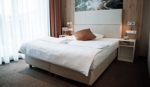 Business Single Room