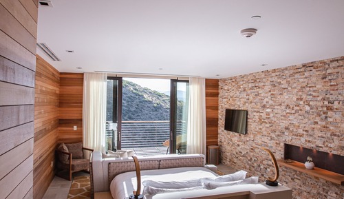 Suite (Red Tail)