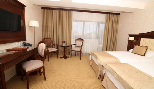 Superior Double or Twin Room 4****