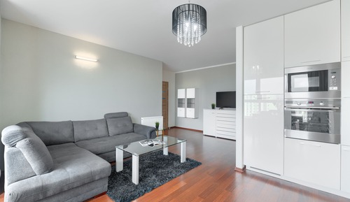 Apartment, 1 Bedroom (Bandurskiego 95 street)