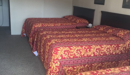Family Single Room