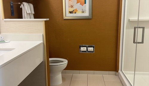 Room, 1 King Bed (Hearing Accessible)