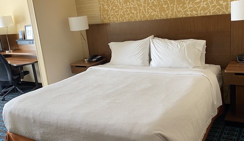 Suite, 1 King Bed with Sofa bed (Hearing Accessible)