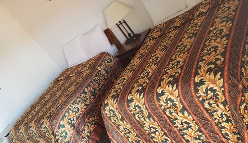 Standard Double or Twin Room, Accessible, Refrigerator & Microwave