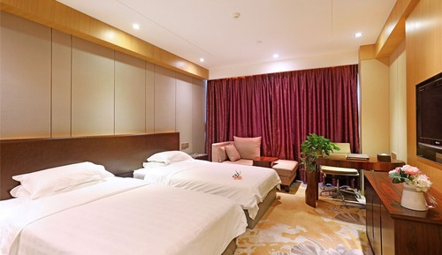 Deluxe Twin Room B