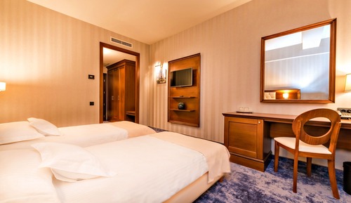 Deluxe Double or Twin Room