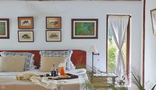 Jungle Lodge