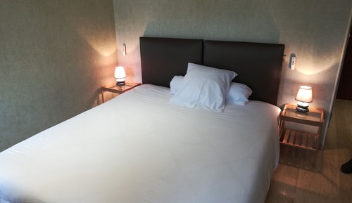 Classic Double or Twin Room (Sapin)