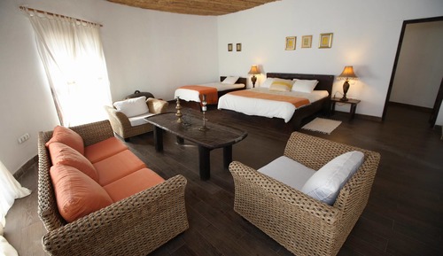 Standard Single Room, 2 Queen Beds, Accessible, Garden View