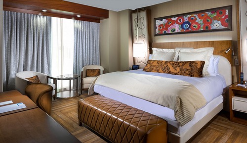 Premium Room, 1 King Bed, Refrigerator