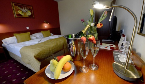 Suite, 1 Bedroom
