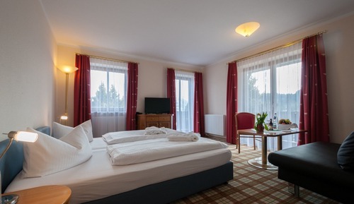 Double Room, Mountain View