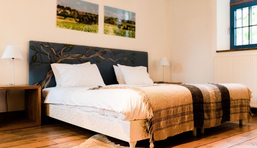 Deluxe Double or Twin Room (La Chambre Bois)