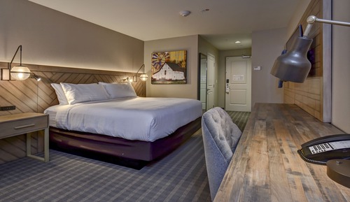 Standard Room, 1 King Bed with Sofa bed