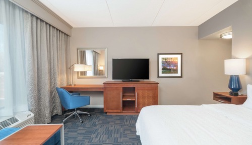 Room, 1 King Bed, Accessible (Roll-in Shower)
