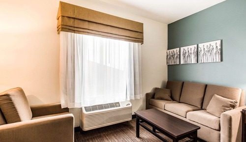 Suite, 1 King Bed with Sofa bed, Non Smoking