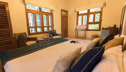 Standard Safari Room