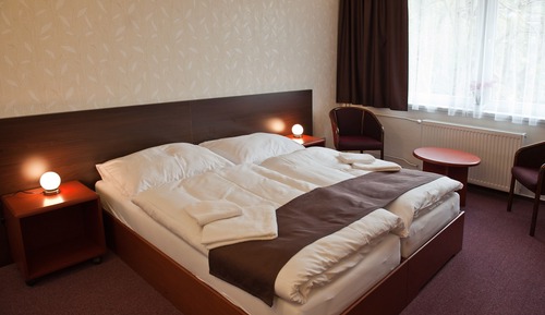 Standard Double Room Single Use