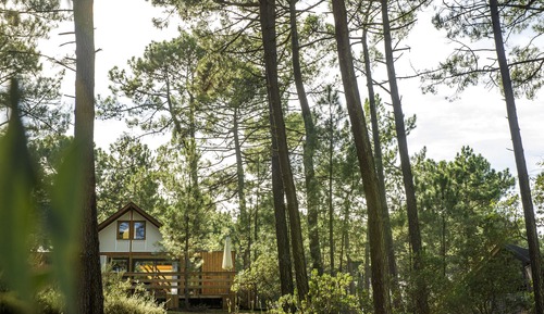 chalet 2 room, 4/6 personnes