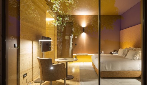 Superior Double or Twin Room (With Bath)