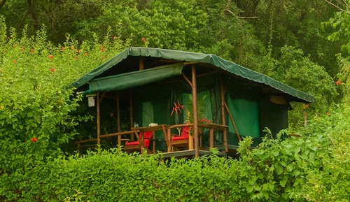 Bungalow, 2 Twin Beds, Mountain View