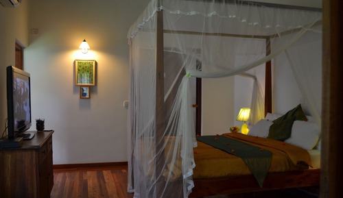 Suite, 1 Queen Bed