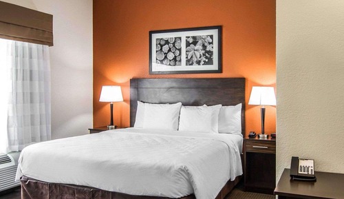 Suite, 1 King Bed