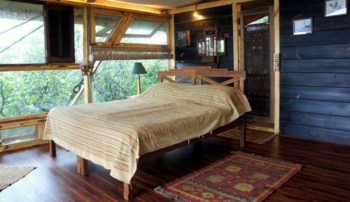 Canopy Machan