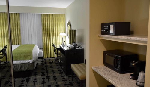 Standard Room, 1 King Bed, Non Smoking, Refrigerator & Microwave