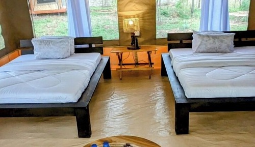 Luxury Tent, 2 Bedrooms, Park View