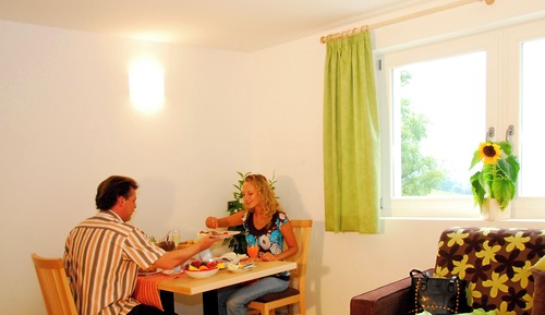Apartment, Mountain View