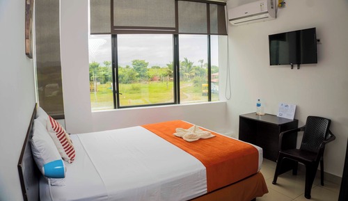 Standard Room, Mountain View