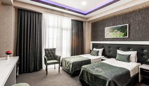 Standard Double or Twin Room