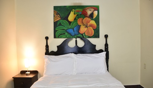 Standard Single Room, Patio, Garden View