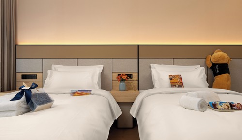 Superior Twin Room, Private Bathroom, City View