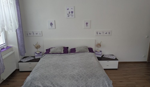 Standard Double Room, 1 Queen Bed, Pets Not Allowed