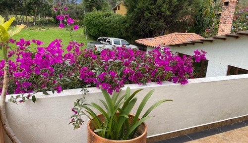 Comfort Room, Garden View