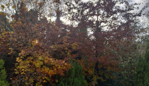 Classic Double Room, 1 Bedroom, Garden View (Rowan)
