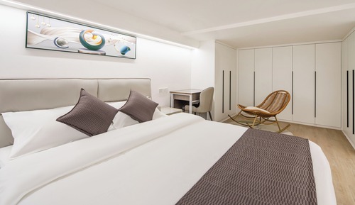 Deluxe duplex 1 bedroom 1 living room suite (kitchen washing machine refrigerator microwave oven)