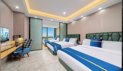 Executive Triple Room, City View