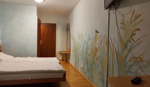 Basic Double Room