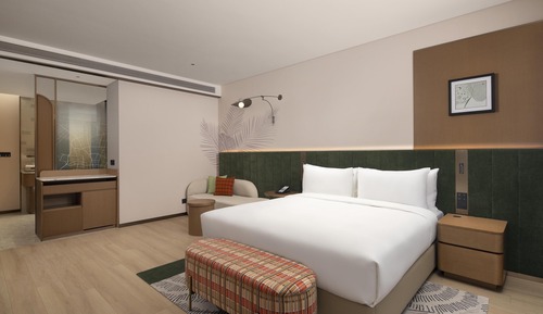 Room, 1 King Bed, Accessible